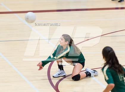 Thumbnail 3 in Bear Creek @ Chatfield photogallery.
