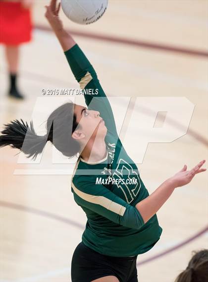 Thumbnail 2 in Bear Creek @ Chatfield photogallery.
