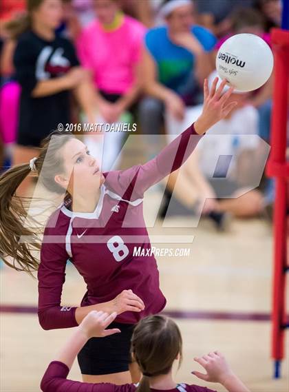 Thumbnail 2 in Bear Creek @ Chatfield photogallery.