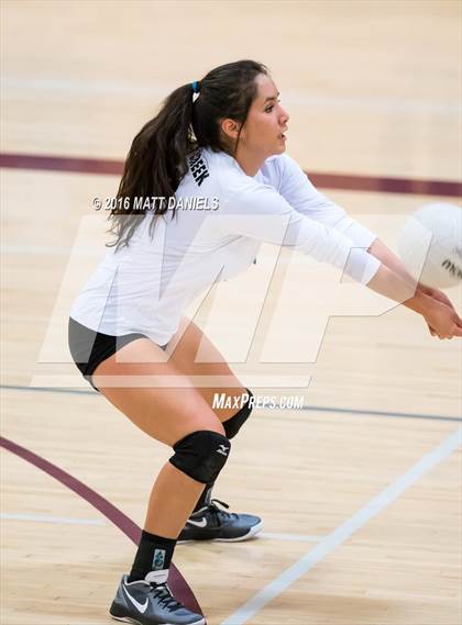 Thumbnail 1 in Bear Creek @ Chatfield photogallery.