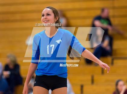 Thumbnail 2 in Bear Creek @ Chatfield photogallery.