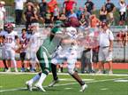 Photo from the gallery "Walt Whitman @ William Floyd"
