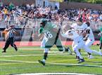 Photo from the gallery "Walt Whitman @ William Floyd"
