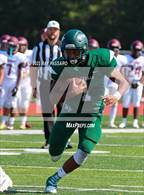 Photo from the gallery "Walt Whitman @ William Floyd"