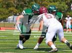 Photo from the gallery "Walt Whitman @ William Floyd"