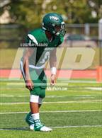 Photo from the gallery "Walt Whitman @ William Floyd"