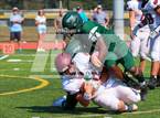 Photo from the gallery "Walt Whitman @ William Floyd"