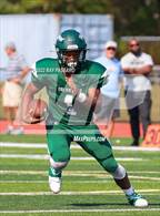 Photo from the gallery "Walt Whitman @ William Floyd"