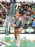 Photo from the gallery "Hamilton Southeastern @ Westfield"