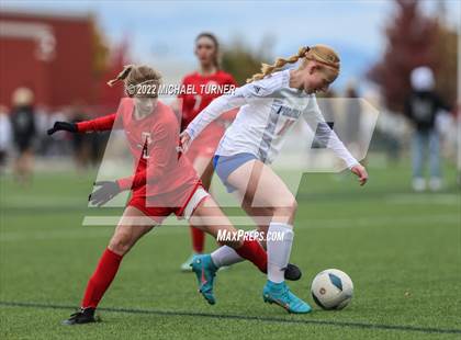 Thumbnail 1 in Sandpoint Vs Pocatello (IHSAA 4A State Playoff)  photogallery.