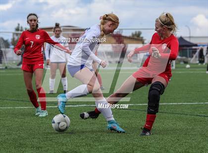 Thumbnail 1 in Sandpoint Vs Pocatello (IHSAA 4A State Playoff)  photogallery.