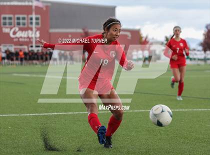 Thumbnail 3 in Sandpoint Vs Pocatello (IHSAA 4A State Playoff)  photogallery.