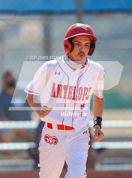 Thumbnail 3 in Antelope @ Anthem Prep photogallery.