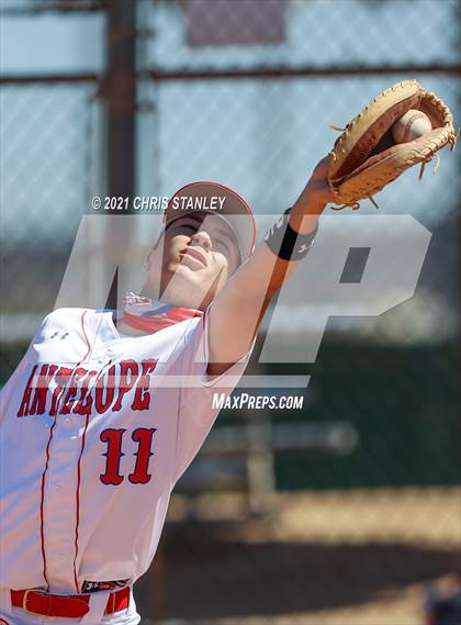 Thumbnail 1 in Antelope @ Anthem Prep photogallery.