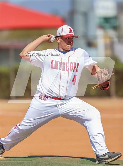 Thumbnail 1 in Antelope @ Anthem Prep photogallery.