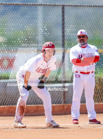 Thumbnail 2 in Antelope @ Anthem Prep photogallery.