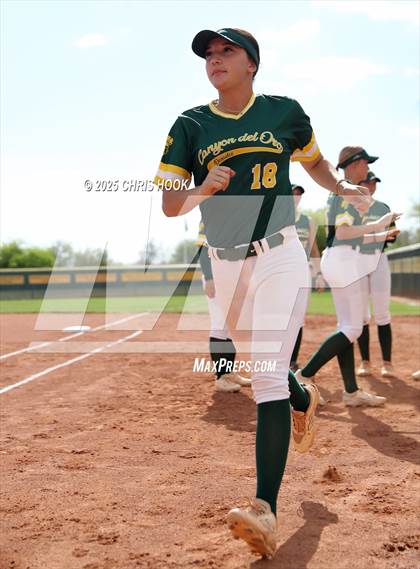 Thumbnail 1 in Arizona College Prep vs Canyon del Oro (AIA Softball 5A Round 2B) photogallery.