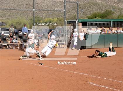 Thumbnail 2 in Arizona College Prep vs Canyon del Oro (AIA Softball 5A Round 2B) photogallery.