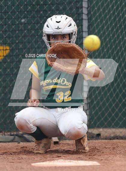 Thumbnail 3 in Arizona College Prep vs Canyon del Oro (AIA Softball 5A Round 2B) photogallery.
