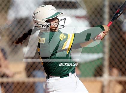 Thumbnail 2 in Arizona College Prep vs Canyon del Oro (AIA Softball 5A Round 2B) photogallery.