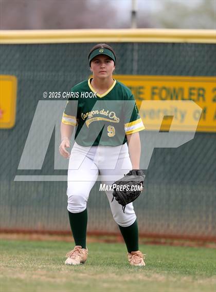 Thumbnail 3 in Arizona College Prep vs Canyon del Oro (AIA Softball 5A Round 2B) photogallery.