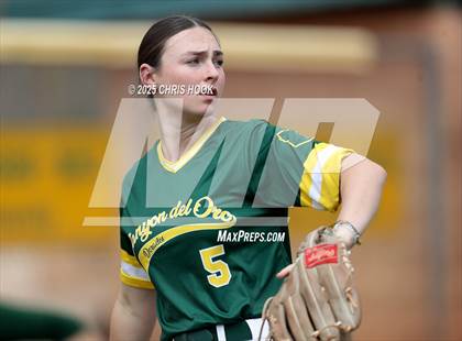 Thumbnail 1 in Arizona College Prep vs Canyon del Oro (AIA Softball 5A Round 2B) photogallery.