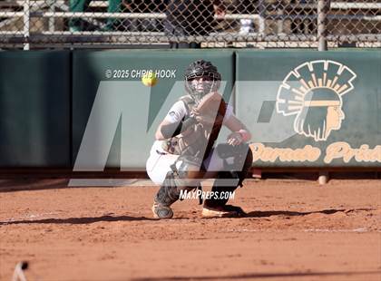 Thumbnail 1 in Arizona College Prep vs Canyon del Oro (AIA Softball 5A Round 2B) photogallery.
