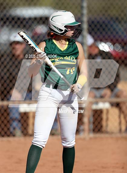 Thumbnail 2 in Arizona College Prep vs Canyon del Oro (AIA Softball 5A Round 2B) photogallery.