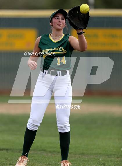 Thumbnail 1 in Arizona College Prep vs Canyon del Oro (AIA Softball 5A Round 2B) photogallery.