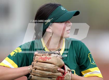 Thumbnail 2 in Arizona College Prep vs Canyon del Oro (AIA Softball 5A Round 2B) photogallery.