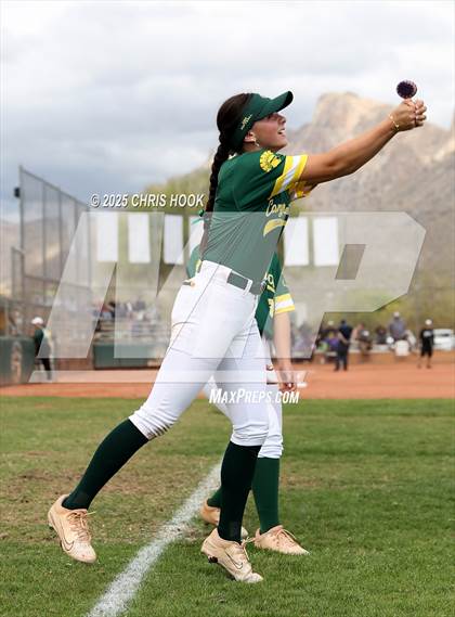 Thumbnail 3 in Arizona College Prep vs Canyon del Oro (AIA Softball 5A Round 2B) photogallery.