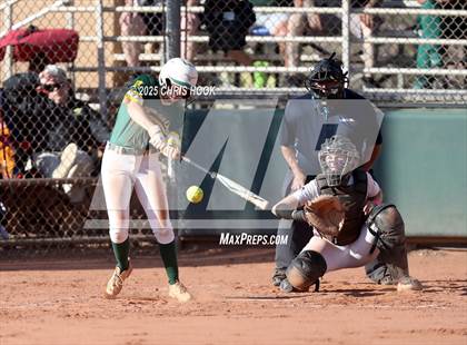 Thumbnail 2 in Arizona College Prep vs Canyon del Oro (AIA Softball 5A Round 2B) photogallery.