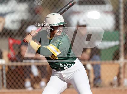 Thumbnail 2 in Arizona College Prep vs Canyon del Oro (AIA Softball 5A Round 2B) photogallery.