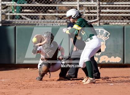 Thumbnail 1 in Arizona College Prep vs Canyon del Oro (AIA Softball 5A Round 2B) photogallery.