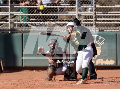 Thumbnail 3 in Arizona College Prep vs Canyon del Oro (AIA Softball 5A Round 2B) photogallery.