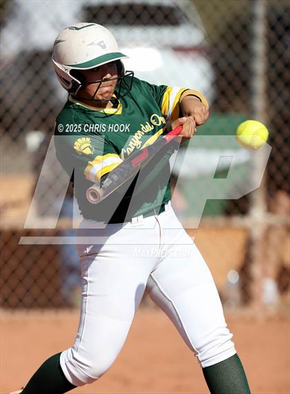 Thumbnail 1 in Arizona College Prep vs Canyon del Oro (AIA Softball 5A Round 2B) photogallery.
