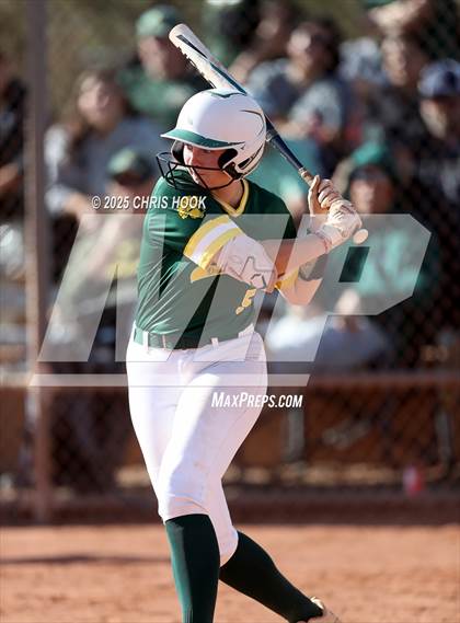 Thumbnail 1 in Arizona College Prep vs Canyon del Oro (AIA Softball 5A Round 2B) photogallery.