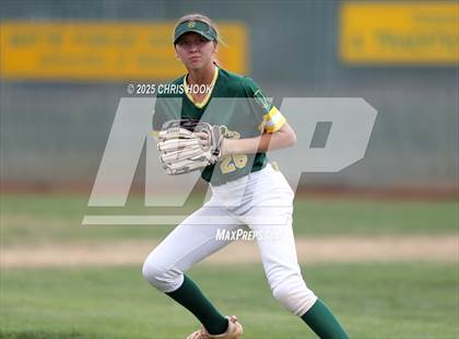 Thumbnail 2 in Arizona College Prep vs Canyon del Oro (AIA Softball 5A Round 2B) photogallery.