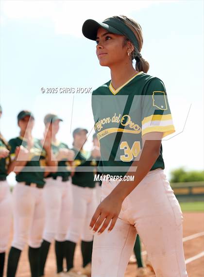 Thumbnail 1 in Arizona College Prep vs Canyon del Oro (AIA Softball 5A Round 2B) photogallery.