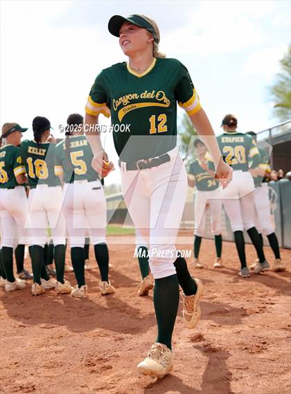 Thumbnail 2 in Arizona College Prep vs Canyon del Oro (AIA Softball 5A Round 2B) photogallery.