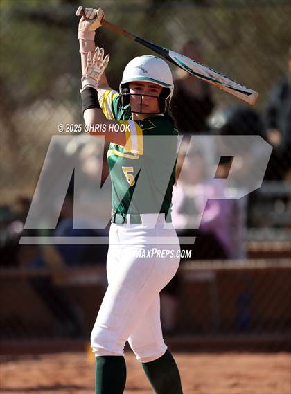Thumbnail 2 in Arizona College Prep vs Canyon del Oro (AIA Softball 5A Round 2B) photogallery.