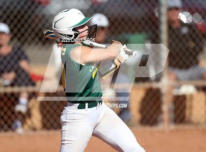 Thumbnail 3 in Arizona College Prep vs Canyon del Oro (AIA Softball 5A Round 2B) photogallery.