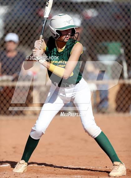 Thumbnail 3 in Arizona College Prep vs Canyon del Oro (AIA Softball 5A Round 2B) photogallery.