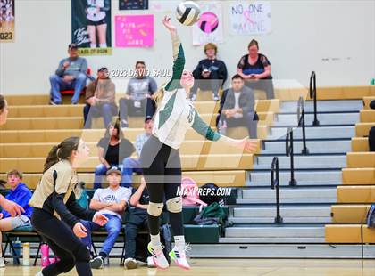 Thumbnail 1 in Sand Creek @ Falcon photogallery.