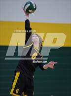 Photo from the gallery "North Marion @ Forest"