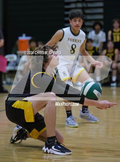 Thumbnail 3 in North Marion @ Forest photogallery.