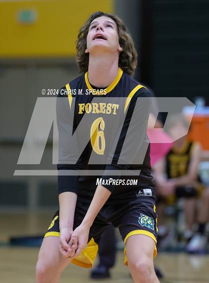 Thumbnail 3 in North Marion @ Forest photogallery.