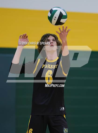 Thumbnail 1 in North Marion @ Forest photogallery.