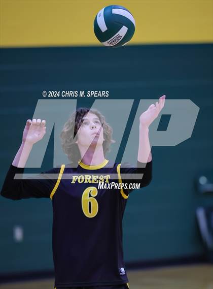 Thumbnail 3 in North Marion @ Forest photogallery.