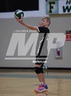 Photo from the gallery "North Marion @ Forest"